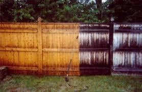 Slide of Top Notch Services