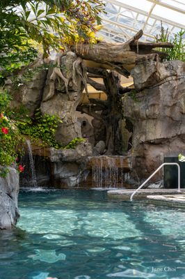 Crystal Springs Resort by null