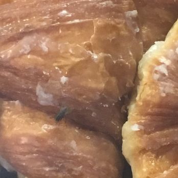 Bashas - DISGUSTING! Flies all over the donuts! - Drugstores Near Me - Tucson, Arizona