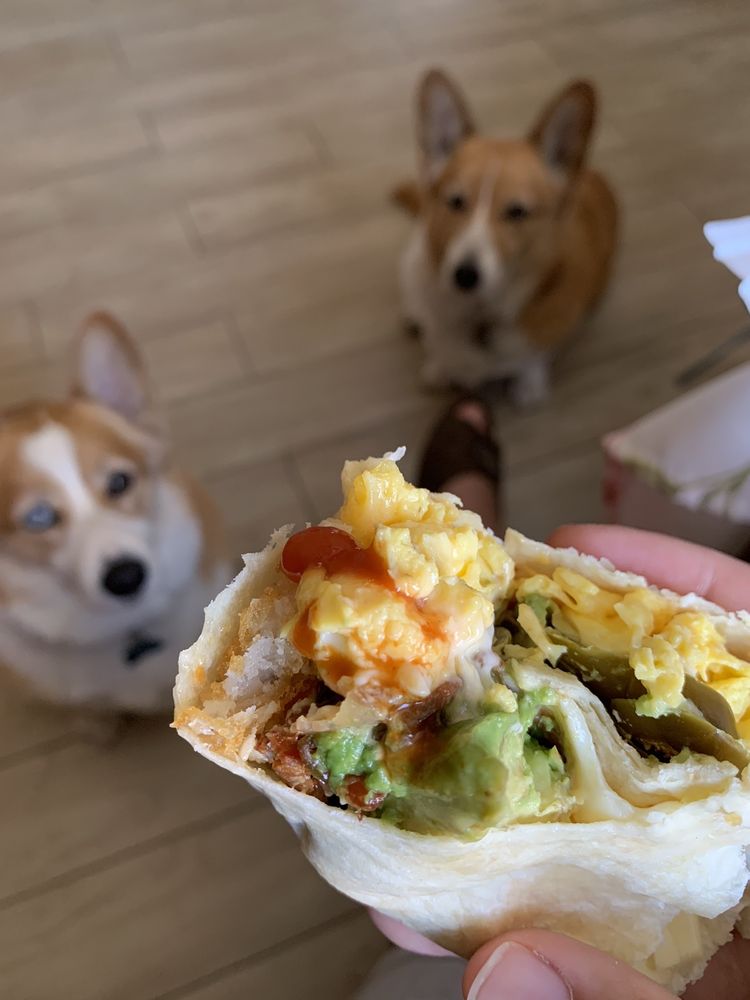 BAD ASS BREAKFAST BURRITOS 99 Photos & 165 Reviews 2209 E Baseline