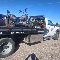 Little Mule Express - Harley Hauling