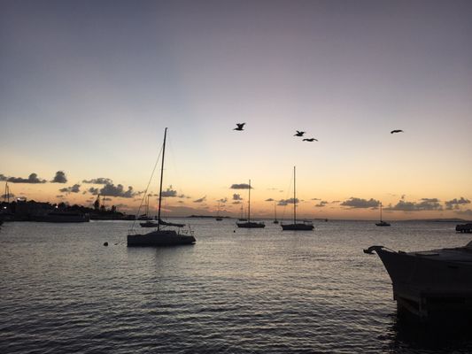 La Guancha by null