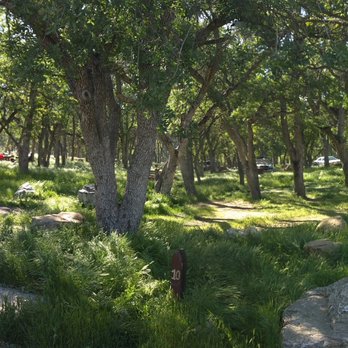 Oak Flat Campground - Campgrounds Near Me - Castaic, California Oak Flat Campground - Campgrounds Near Me - Castaic, California