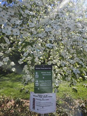 Whitaker Ponds Nature Park