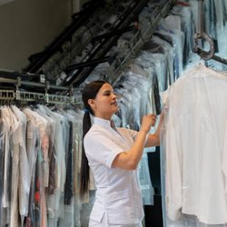 Lemon Tree Cleaners & Laundry