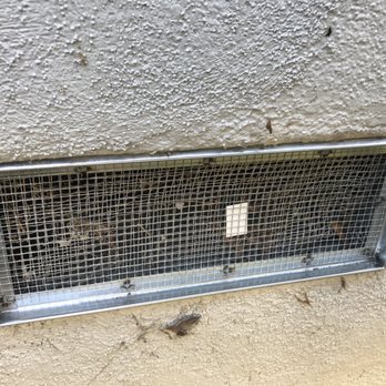 American Structural Pest Control West - New metal screen!!! - Pest Control Near Me - Torrance, California American Structural Pest Control West - New metal screen!!! - Pest Control Near Me - Torrance, California
