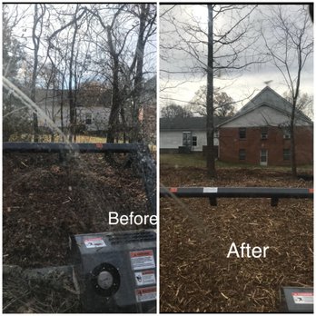 731 land management - Tree Services Near Me