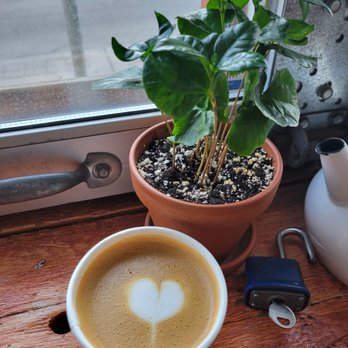 San Coffee Room - a cup of coffee with a heart drawn in it - Coffee & Tea Near Me - Toronto, Ontario San Coffee Room - a cup of coffee with a heart drawn in it - Coffee & Tea Near Me - Toronto, Ontario