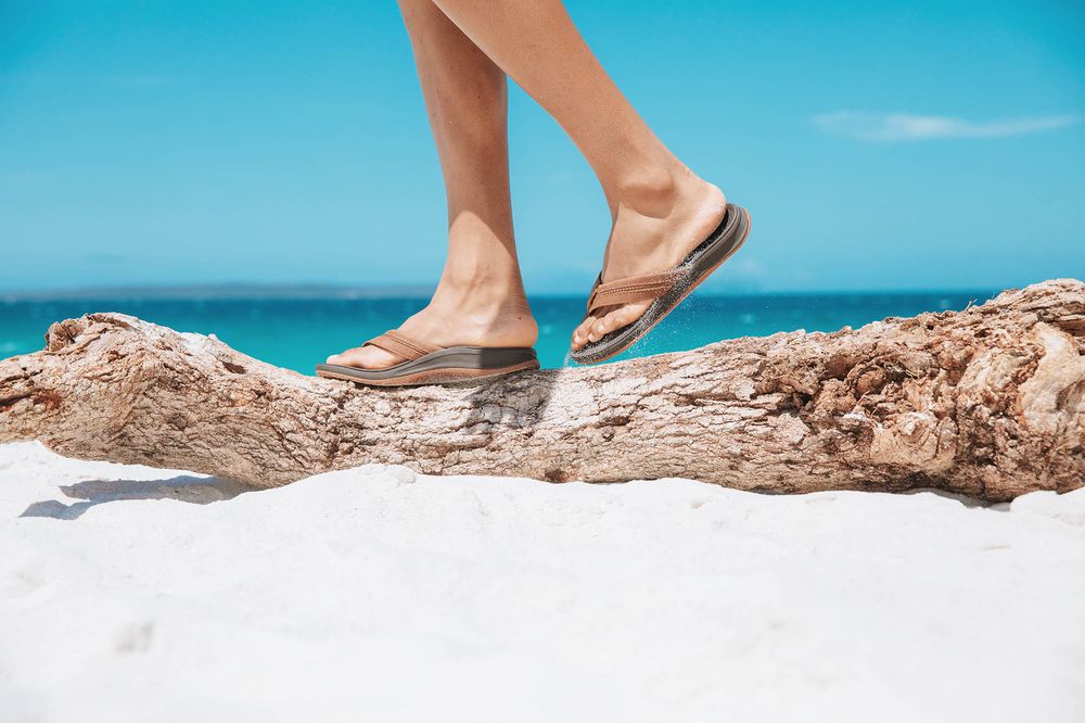 FLIP FLOP SHOPS Shoe Stores 413 Hillsdale Shopping Center, San