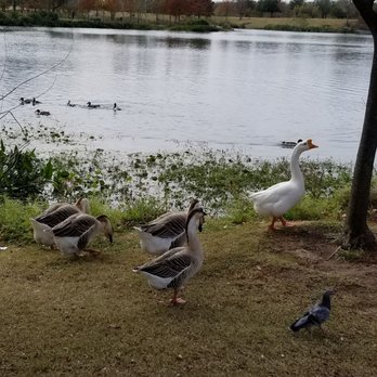 Mueller Lake Park - Playgrounds Near Me - Austin, Texas Mueller Lake Park - Playgrounds Near Me - Austin, Texas