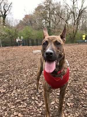 Mason Mill Park by null