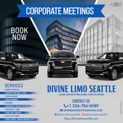Divine Limo Seattle