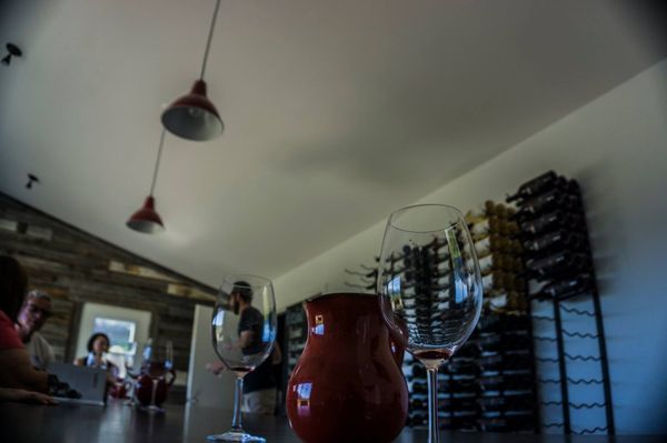 Synchromesh Wines by null