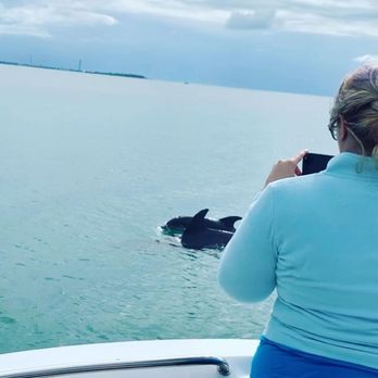 Dolphin Safari Charters - Boat Tours Near Me - Key West, Florida Dolphin Safari Charters - Boat Tours Near Me - Key West, Florida