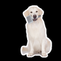 Photo of Barkin' Beauties