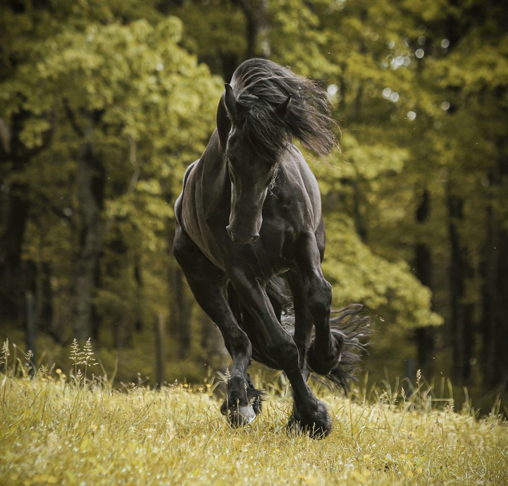 TGL FARMS Updated May 2024 290 Photos 2455 Long Hollow Pike