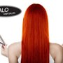 Photo of Halo Hair Salon