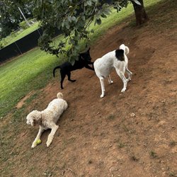 Little Ponderosa Pet Resort & Spa