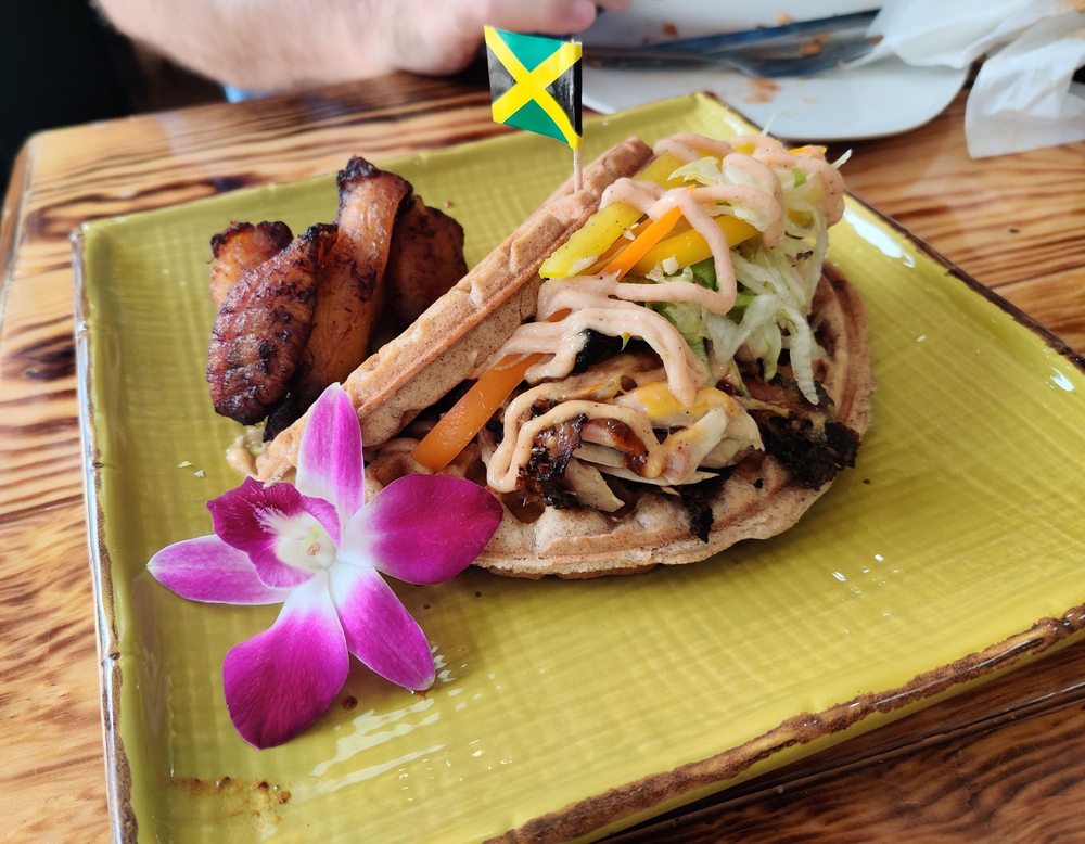 JAMAICAN VIBES CUISINE 46 Photos & 10 Reviews 1082 West Lee Dr