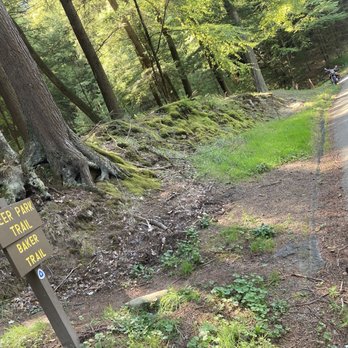 Cook Forest State Park - Parks Near Me - Cooksburg, Pennsylvania