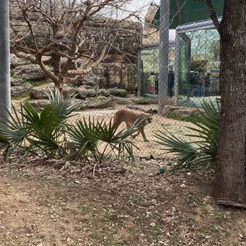 Cameron Park Zoo - Zoos Near Me - Waco, Texas Cameron Park Zoo - Zoos Near Me - Waco, Texas