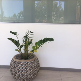 Element by Marriott - Beautiful modern decorations give the hotel a clean and comforting feel. - Hotels Near Me - Chandler, Arizona