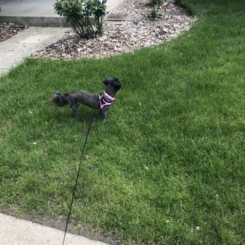Poochie Love Dog Spa - Pet Groomers Near Me - North Aurora, Illinois