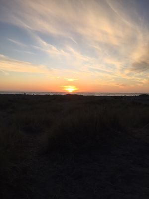 Gold Bluffs Beach Campground by null