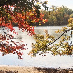 Hempstead Lake State Park - Backlit
