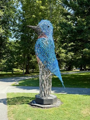 Blithewold Manor, Gardens & Arboretum by null