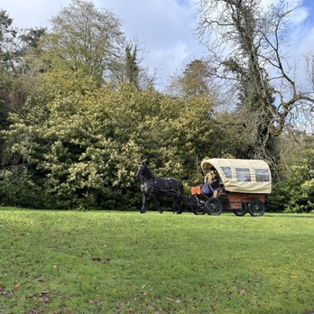 Dromoland Castle - Hotels Near Me - Newmarket-on-Fergus, CE