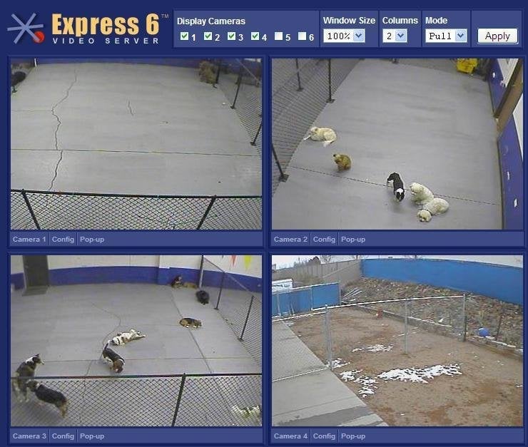 Preppy Pet Suites - pet boarding facility in Colorado Springs, CO