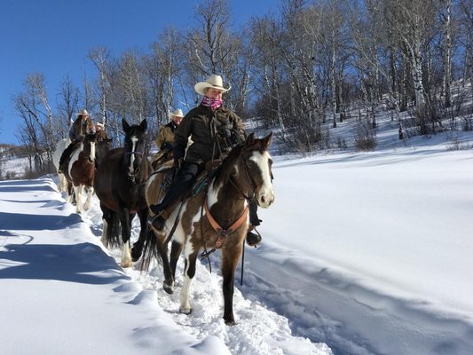 Scenic Winter Trail Rides - Embrace the magic of winter with a scenic winter trail ride! As you arrive at the stable, you’ll be greeted by the crisp, cool air and a landscape blanketed in snow. After a warm welcome and a quick safety briefing, you’ll meet your horse, equipped with winter gear to keep them comfortable.This winter trail ride offers a unique and refreshing experience, perfect for riders of all skill levels, providing a chance to connect with nature in a whole new way. Dress warmly, and prepare for a memorable adventure! Click to schedule your winter ride today! https://steamboathorses.com/rides/winter-trail-ride/ or call (970) 879-3495 Scenic Winter Trail Rides - Embrace the magic of winter with a scenic winter trail ride! As you arrive at the stable, you’ll be greeted by the crisp, cool air and a landscape blanketed in snow. After a warm welcome and a quick safety briefing, you’ll meet your horse, equipped with winter gear to keep them comfortable.This winter trail ride offers a unique and refreshing experience, perfect for riders of all skill levels, providing a chance to connect with nature in a whole new way. Dress warmly, and prepare for a memorable adventure! Click to schedule your winter ride today! https://steamboathorses.com/rides/winter-trail-ride/ or call (970) 879-3495