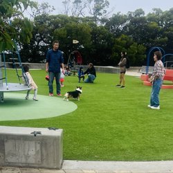 Dogs are banned from any buildings, playgrounds, sandboxes, and athletic fields managed by the San Francisco Parks and Rec department.