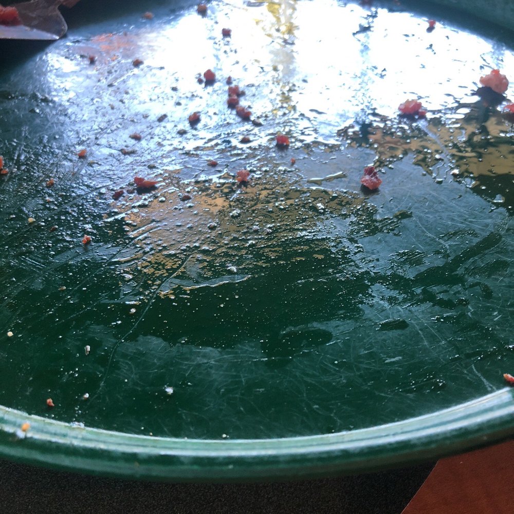 Round Table Pizza - Pizza Near Me - Tacoma, Washington Round Table Pizza - Pizza Near Me - Tacoma, Washington