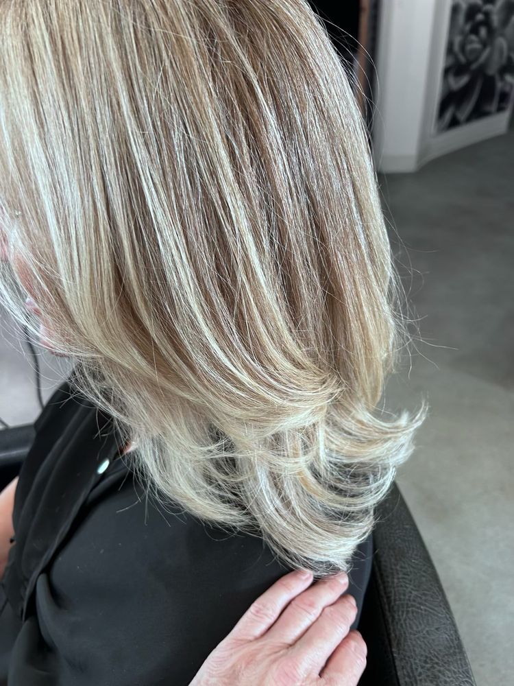 Hair by Heidi 6.0 Logo