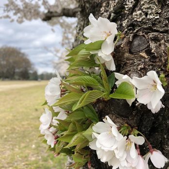 Audubon Park - Parks Near Me - Memphis, Tennessee Audubon Park - Parks Near Me - Memphis, Tennessee