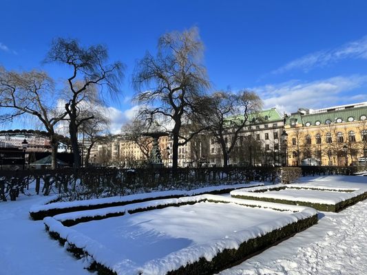 Kungsträdgården by null
