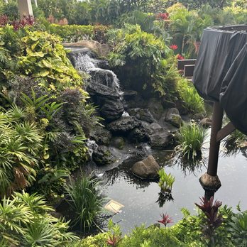 Hilton Vacation Club - Side yard waterfall - Hotels Near Me - Kaanapali, Hawaii Hilton Vacation Club - Side yard waterfall - Hotels Near Me - Kaanapali, Hawaii