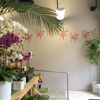PlantShed - Florists Near Me - New York, New York PlantShed - Florists Near Me - New York, New York