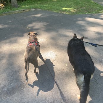 Montgomery Bell State Park - Dog walk - Parks Near Me - Burns, Tennessee Montgomery Bell State Park - Dog walk - Parks Near Me - Burns, Tennessee