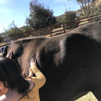 Farm Sanctuary - Animal Shelters Near Me - Acton, California