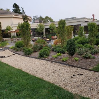 Goosefeather - Cantonese Near Me - Tarrytown, New York Goosefeather - Cantonese Near Me - Tarrytown, New York