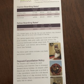 PetSuites Chesapeake - Boarding Rates - Pet Boarding Near Me - Chesapeake, Virginia PetSuites Chesapeake - Boarding Rates - Pet Boarding Near Me - Chesapeake, Virginia