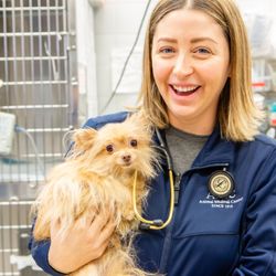 The Animal Medical Center