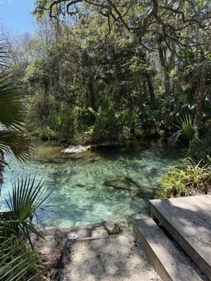 Kelly Park - Rock Springs by null