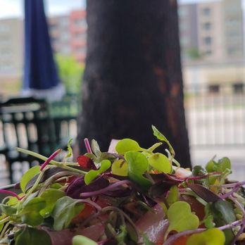 At The Oaks Coffee House - Avocado toast - Cafes Near Me - Fort Worth, Texas At The Oaks Coffee House - Avocado toast - Cafes Near Me - Fort Worth, Texas