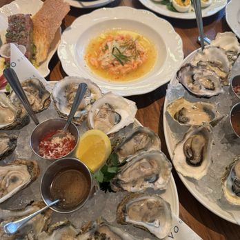 LAVO - Oysters, salmon crisp, meatball, tuna tartare, and deviled eggs - Italian Near Me - West Hollywood, California LAVO - Oysters, salmon crisp, meatball, tuna tartare, and deviled eggs - Italian Near Me - West Hollywood, California