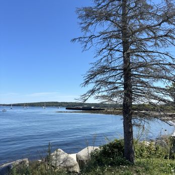 Archer's on the Pier - Across from parking lot - Seafood Near Me - Rockland, Maine