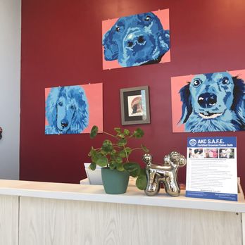 The Barking Barber - Counter - Pet Groomers Near Me - Elizabethtown, Kentucky The Barking Barber - Counter - Pet Groomers Near Me - Elizabethtown, Kentucky